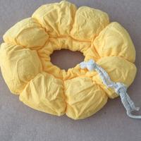 Collare Elisabettiano per gatti e cani 