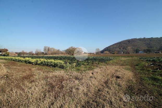 TER. AGRICOLO A TORREGLIA