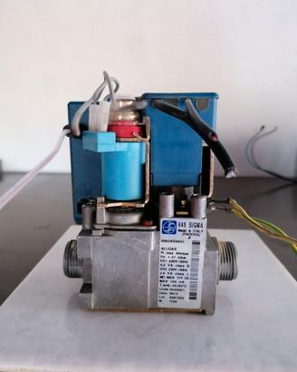 VALVOLA DEL GAS RIELLO