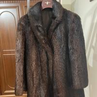 Pelliccia di castoro