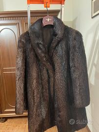 Pelliccia di castoro