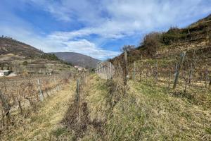 TER. AGRICOLO A GUSSAGO