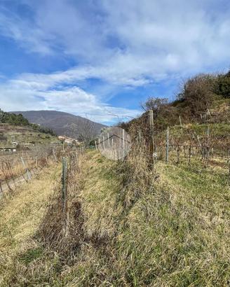 TER. AGRICOLO A GUSSAGO