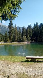 Vacanze d'estate sulle Dolomiti