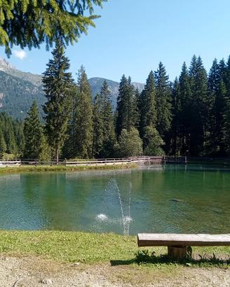 Vacanze d'estate sulle Dolomiti