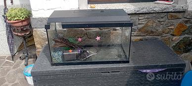 acquario 