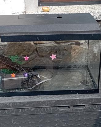 acquario 
