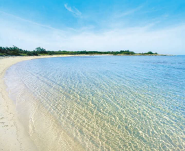 Casa vacanza con piscina Salento puglia mare