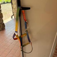 2 capezze tg Cob
