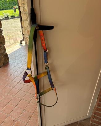 2 capezze tg Cob
