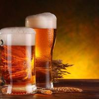 Bar birreria con cucina treviso