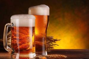 Bar birreria con cucina treviso