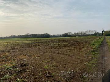 Terreno agricolo per vigneti