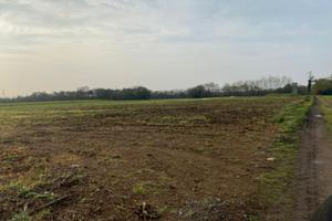 Terreno agricolo per vigneti