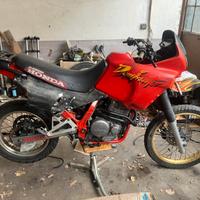 Dominator