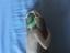 Immagine 5