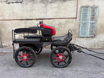 Carrozza marathon training 138