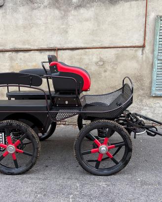 Carrozza marathon training 138