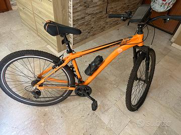 Mountain bike