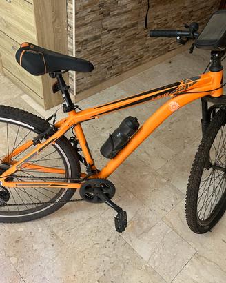 Mountain bike