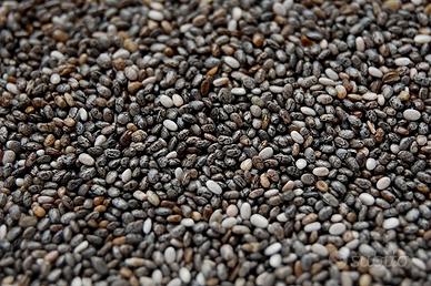 semi di chia