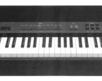Yamaha Clavinova PF P100