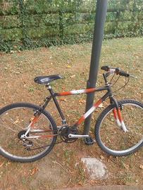 bicicletta ragazzo 26 pollici 