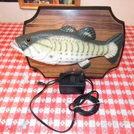 pesce canterino Big Mouth Bille Bass queen rock