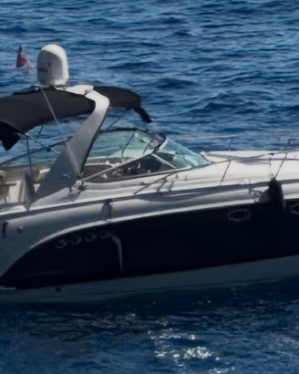Chaparral 350 Signature