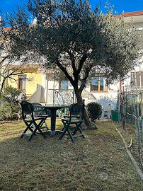 Luminosa schiera in centro