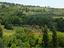 Immagine 9