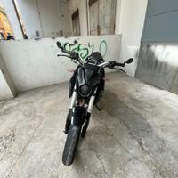 VOGE brivido 125 2023