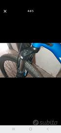Giant 29 L mountain bike front Talon 3 Sapphire 29