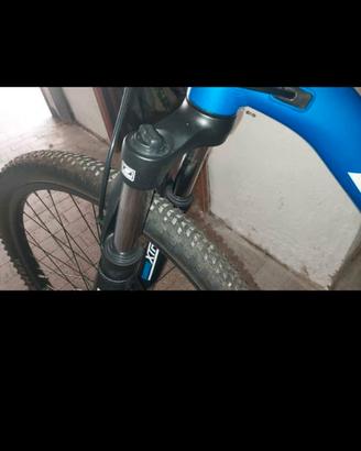 Giant 29 L mountain bike front Talon 3 Sapphire 29