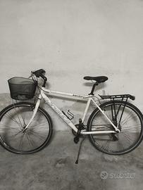 Bici Adriatica Boxter 28 uomo TY300 