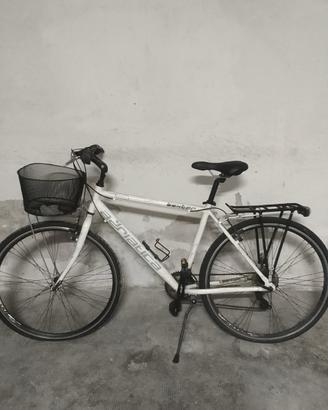 Bici Adriatica Boxter 28 uomo TY300 