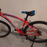 Bici "torpado" mountain bike + pompa gonfiaggio