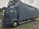 van-trasporto-5-cavalli-volvo-fl-6-12-250-hp