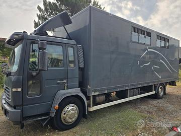 Van trasporto 5 cavalli VOLVO FL 6.12/250 HP