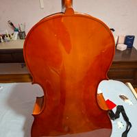 violoncello