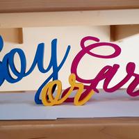 BOY OR GIRL per baby shower 