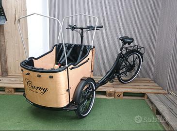 Cargo Bike Curvy 