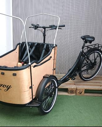 Cargo Bike Curvy 