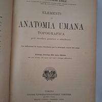 elementi di anatomia umana topografica Anile 1919