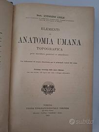 elementi di anatomia umana topografica Anile 1919