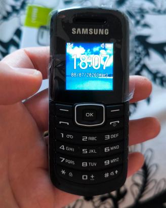 Samsung GT-E1080i