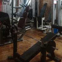 panca pettorali reclinata.