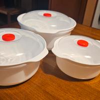 teglie per microonde 