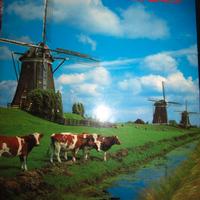 Olanda (Holland) - testo italiano