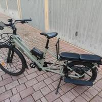 Cargo bike long tail con doppia batteria.